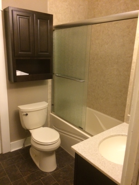 Bathroom Remodeling in Mountain Home, AR