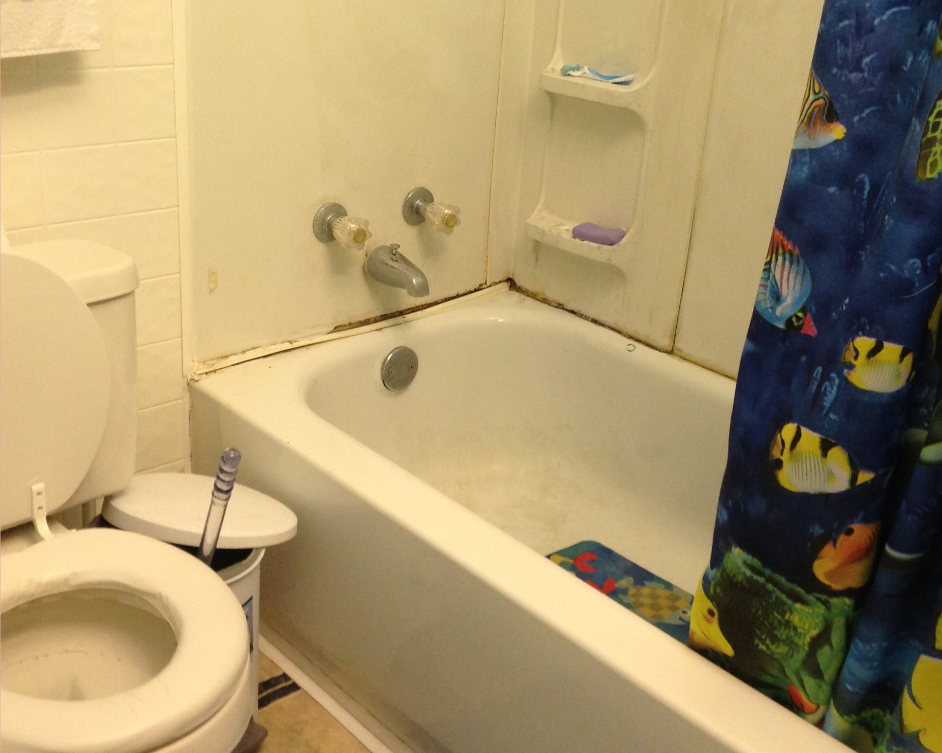 Springfield, MO Bath Tubs