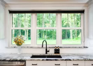 ProVia Endure double hung replacement windows in Springfield, MO